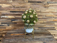 Afbeelding in Gallery-weergave laden, Bol met wax appels goud