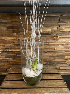 Amaryllis in glas wit