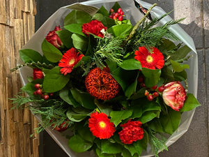 Kerstboek protea rood