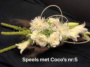 Speels met coco s  wit foto nr:5