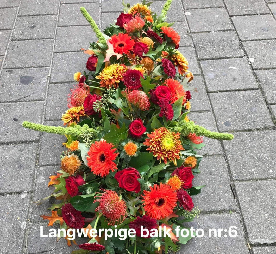 Langwerpig herfst stuk foto nr:6