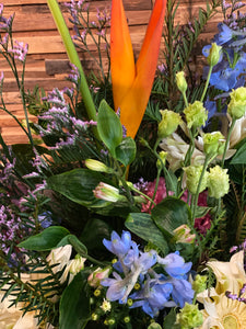 Veldboeket met Helleconia